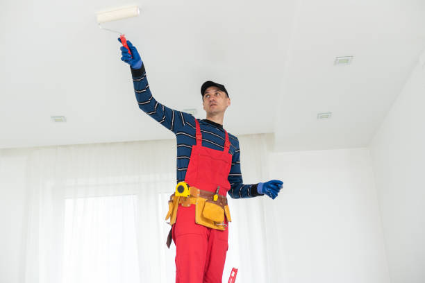 Best Ceiling Drywall Installation  in Belvidere, NJ