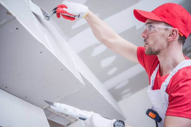 Best Drywall Sanding and Smoothing  in Belvidere, NJ